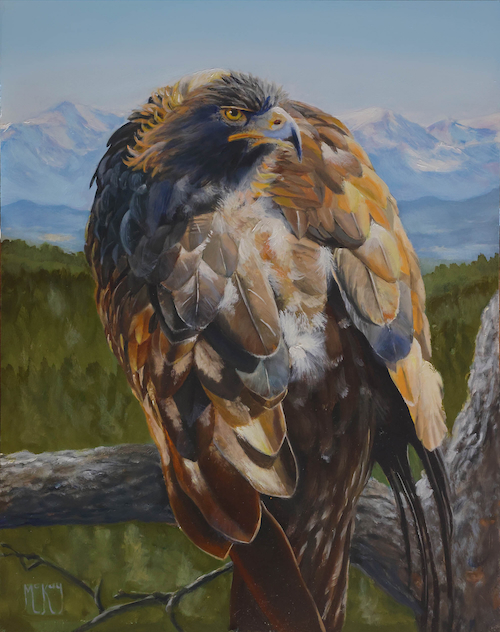 Golden Eagle 14x11 $1300 at Hunter Wolff Gallery